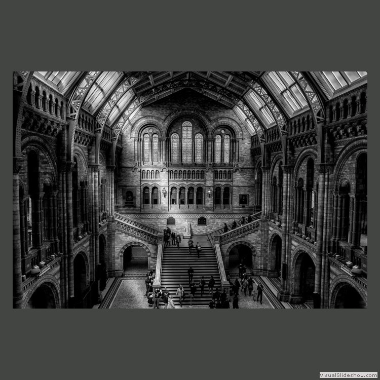 Advanced Section Commended - Natural History Museum by Sharon Jones