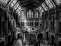 Advanced Section Commended - Natural History Museum by Sharon Jones