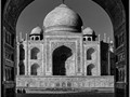 Advanced Section Highly Commended - Taj by Phil Chadwick