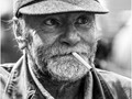 Advanced Section Highly Commended - The Seasoned Veteran by Paul Williams