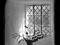 Intermediate Section Commended - Llewelyn's Old Church Window by !an W Paisley