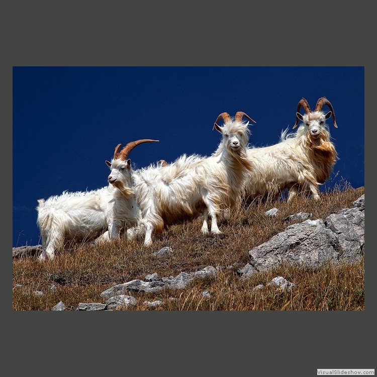 Advanced Section First Place - Whatya Lookin' At  by Brian Tehan