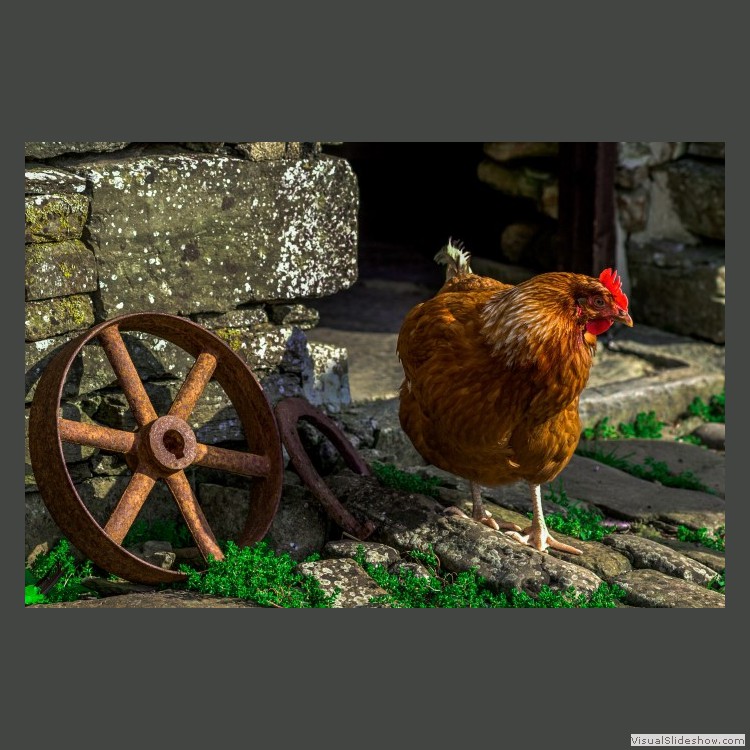 Intermediate Section First Place - The Wheel of Life by Sam Loughran