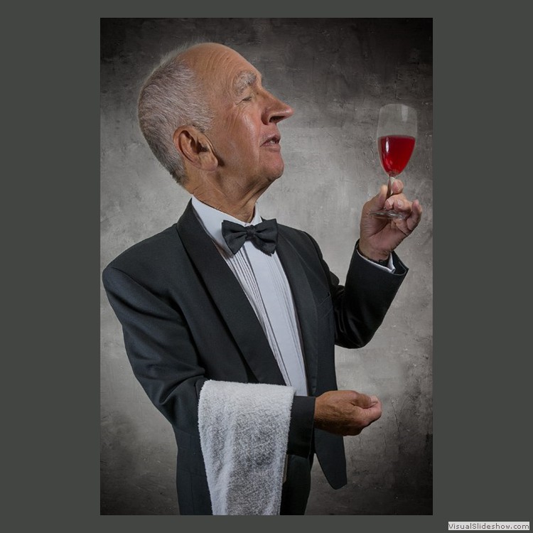 Advanced Section First Place - The Snooty Waiter by Sharon Jones
