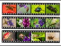 Advanced Section Commended - Nature Film Strips by Alan Foulkes