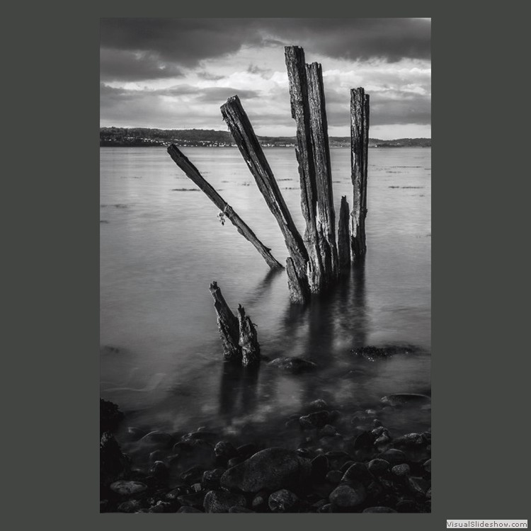 Advanced Section Commended - The Groynes by Viv Healy