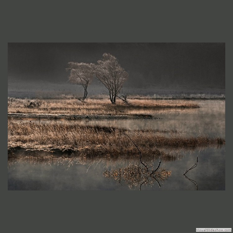 Advanced Section Second Place - Frosty Morning by Phil Chadwick