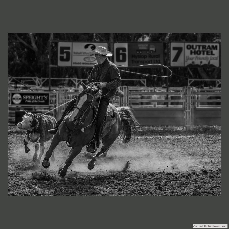 Advanced Section Highly  Commended - Get Him Cowboy by Jean Chadwick