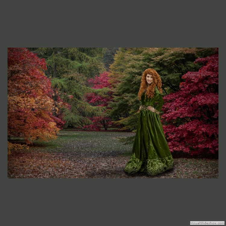 Intermediate Section Highly Commended - The Colours of Autumn by Dawn Hunter