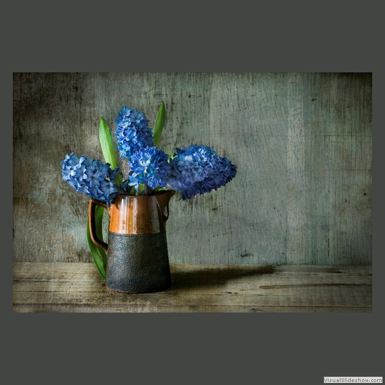 Advanced Section First Place - Blue Hyacinths by Viv Healy