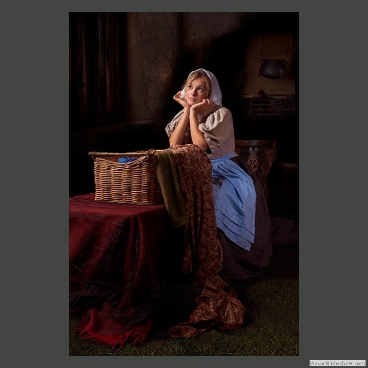 Advanced Section Highly Commended - The Pensive Laundrymaid by Robert Jones