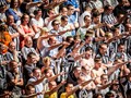 Advanced Section Commended - The Fans Are Not Happy by John Jones