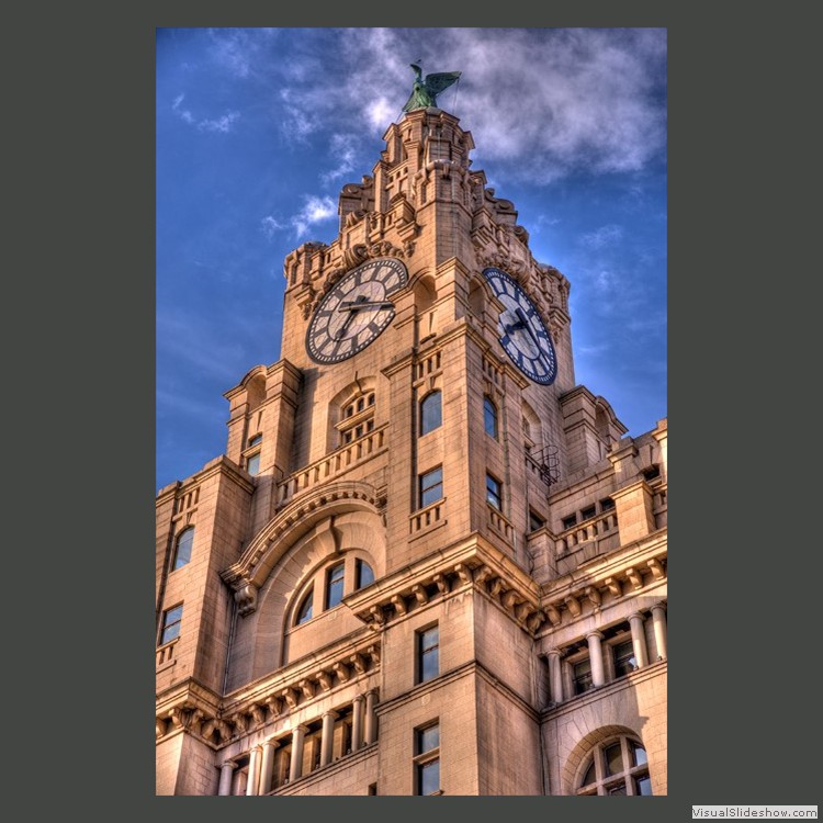 Advanced Section Commended - The Liver Building by Eifion Williams