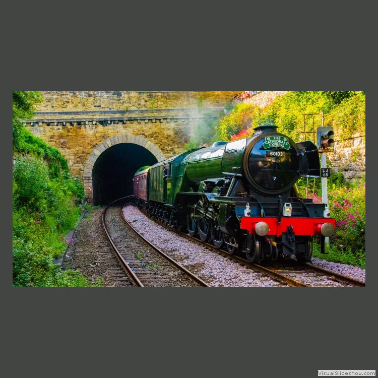 Intermediate Section Commended - Flying Scotsman by Ian Paisley