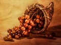 Advanced Section Highly Commended - Muscat Grapes by Viv Healy