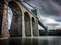 Intermediate Section Commended - Up Close & Personal by Steve Morris