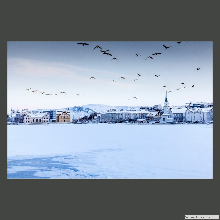 Advanced Section Highly Commended - Flocking to Reyjkavik by Brian Tehan