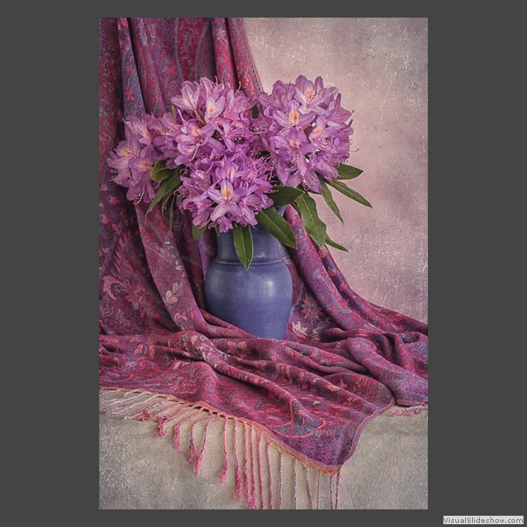 Advanced Section Commended - Portrait in Purple by Viv Healy