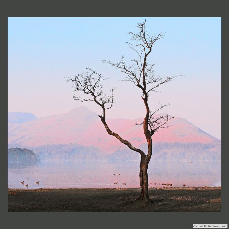 Intermediate Section First Place - Morning Light in Lakeland by Robert Tyson