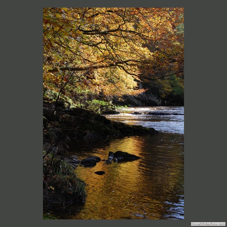 Intermediate Section Highly Commended - Autumn at Allen Bank by Jane Tyson