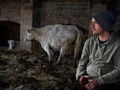 Advanced Section Highly Commended - Waiting For the Vet by Phil Chadwick