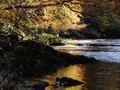 Intermediate Section Highly Commended - Autumn at Allen Bank by Jane Tyson