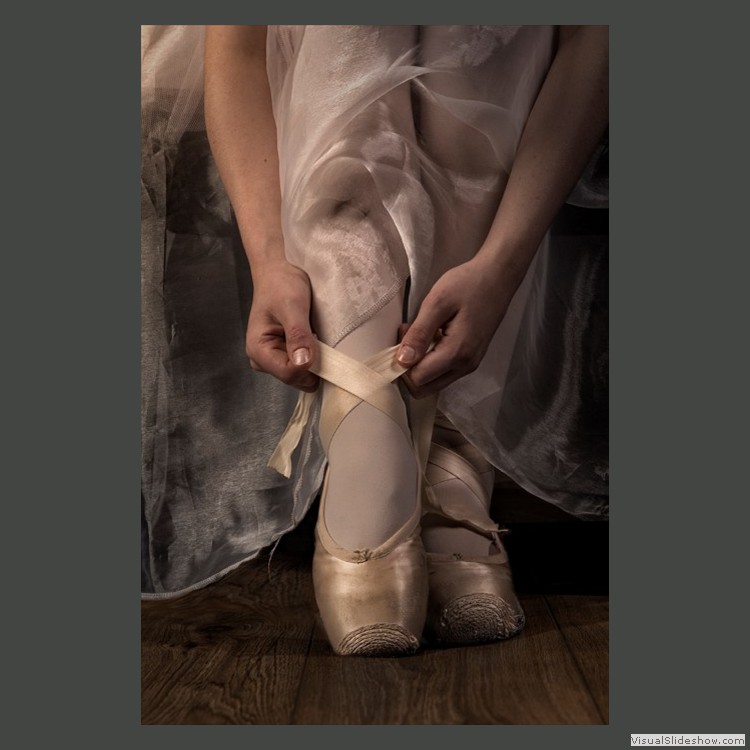 Advanced Section Commended - The Ballet Shoes by Robert Jones