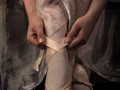 Advanced Section Commended - The Ballet Shoes by Robert Jones