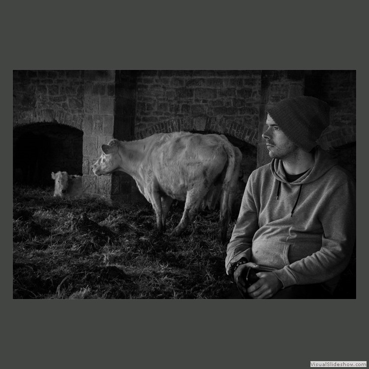 Advanced Section Highly Commended - Waiting for Vet by Phil Chadwick
