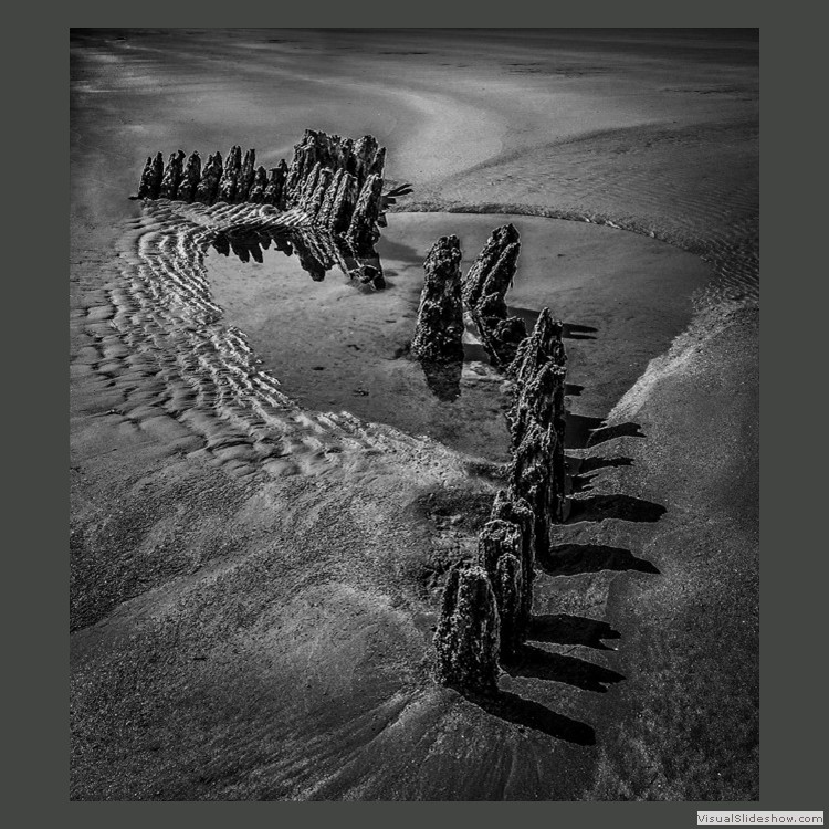 Advanced Section Second Place - Skeleton in the Sand by Viv Healy