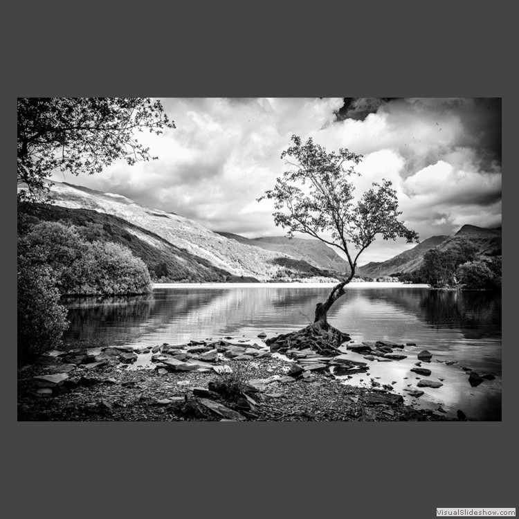 Intermediate Section Highly Commended - Lonely Tree by Chris Couchman