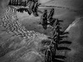 Advanced Section Second Place - Skeleton in the Sand by Viv Healy