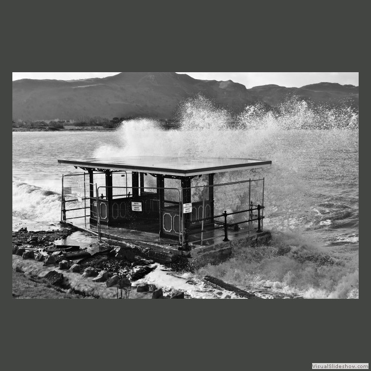 Intermediate Section Highly Commended - Shelter in the Storm by Ian Dickson