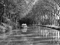 Intermediate Section First Place - Cruising Along the Midi by Shiela Shepley