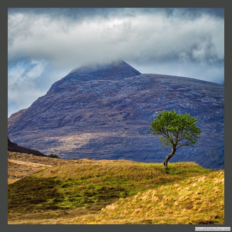 Advanced Section Commended - Lone Tree by Sam Loughran