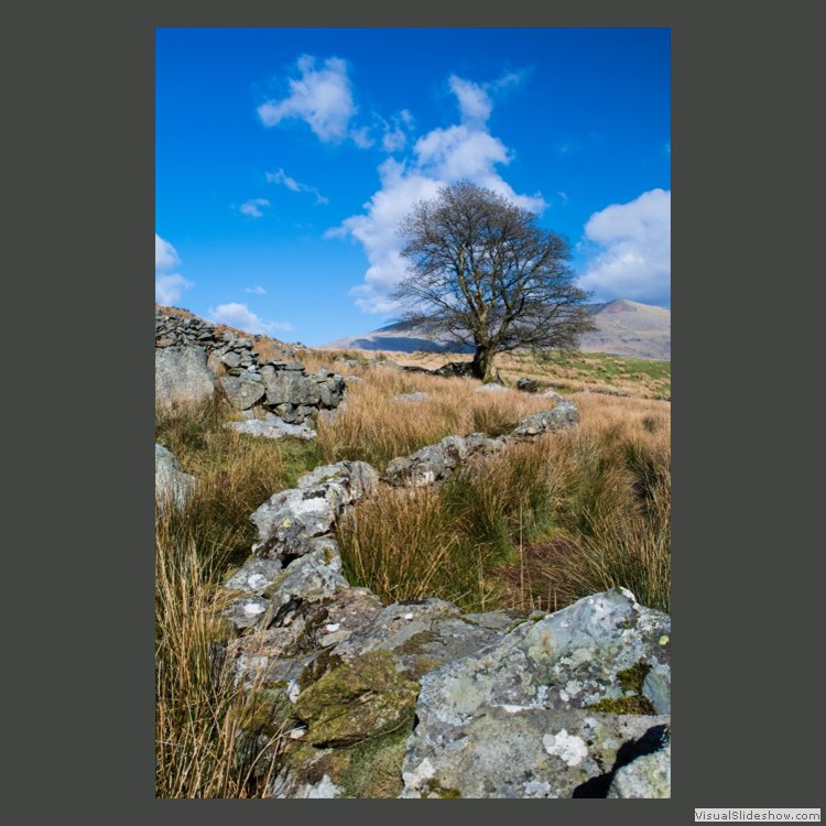 Intermediate Section First Place - Off the Beaten Track by Sheila Gittins