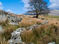 Intermediate Section First Place - Off the Beaten Track by Sheila Gittins