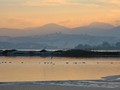 Intermediate Section Highly Commended - Sunset Over the River Conwy by Jane Tyson