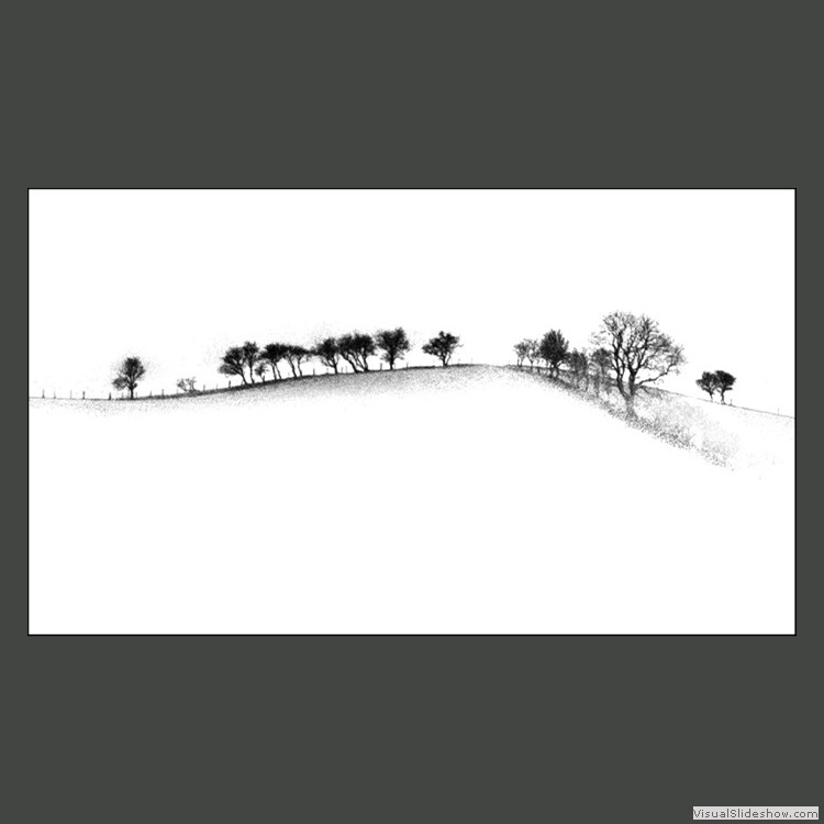 Advanced Section Commended - Tree Line by Viv Healy