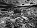 Advanced Section Commended - Storms on the Way by Brian Tehan