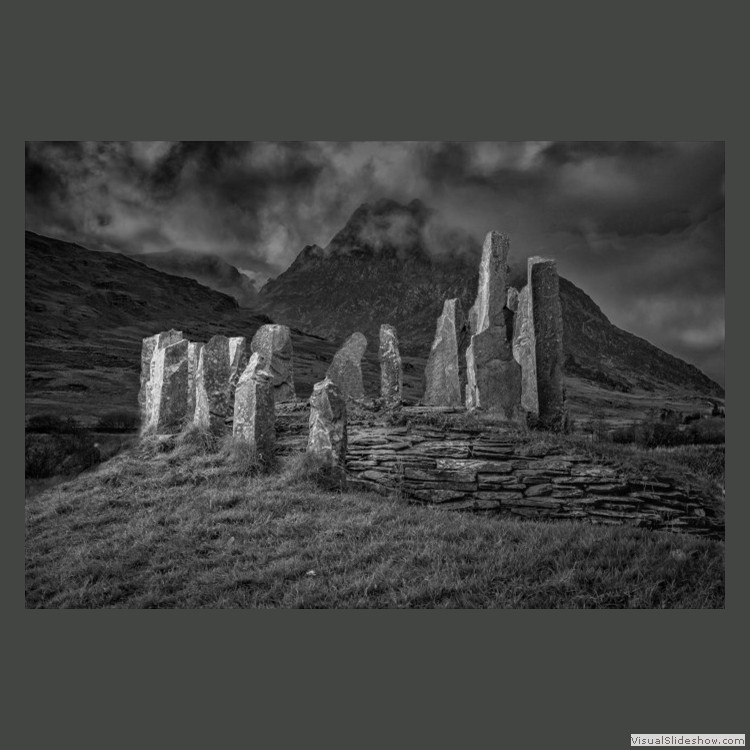 Advanced Section Highly Commended - Still Standing by Steve Morris