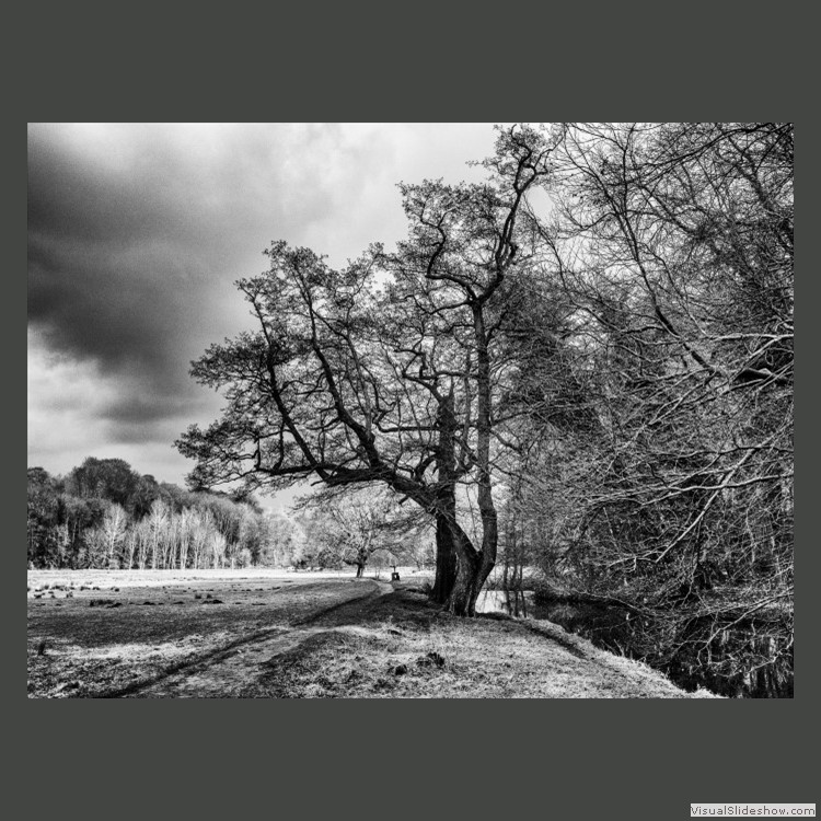 Intermediate Section Second Place - Erddig Park in Winter by Sheila Gittins