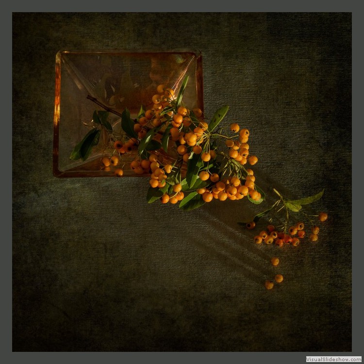 Advanced Section Third Place - Orange Glow by Viv Healy