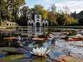 Advanced Section Highly Commended - The Pin Mill by Alan Gaines