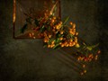 Advanced Section Third Place - Orange Glow by Viv Healy