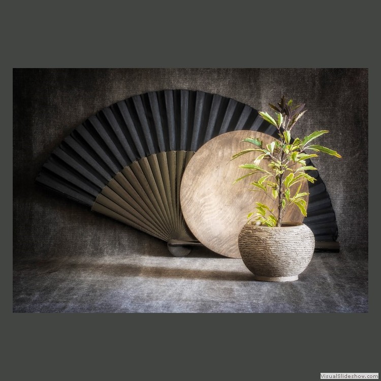 Advanced Section Second Place - Still Life with Pot Plant by Viv Healy