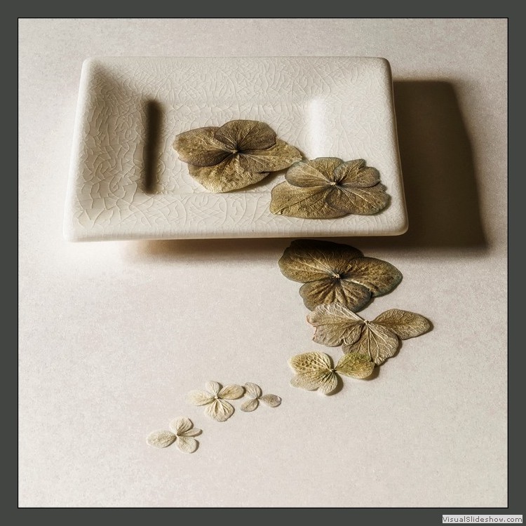 Advanced Section Third Place - Petals on a Plate by Viv Healy