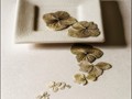 Advanced Section Third Place - Petals on a Plate by Viv Healy