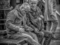 Advanced Section Highly Commended - In a World of Their Own by Steve Morris