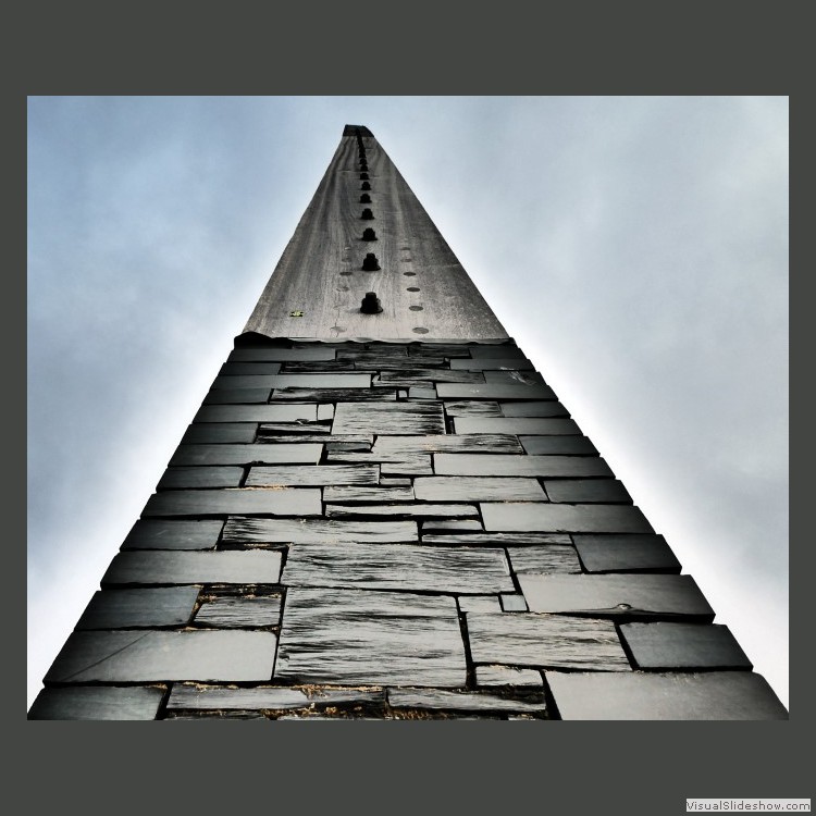 Intermediate Section Third Place - Reach for the Sky by Mike Thomas